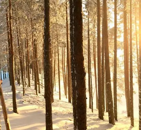 Center Resort Petkeljarvi