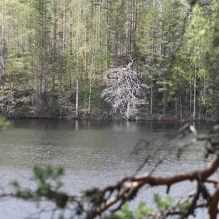 Center Petkeljarvi