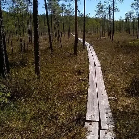 Center * Petkeljarvi