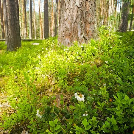 Resort Center Petkeljarvi